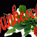 danke00102